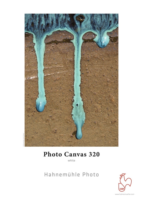 RS82_A2 Photo Canvas-scr.jpg