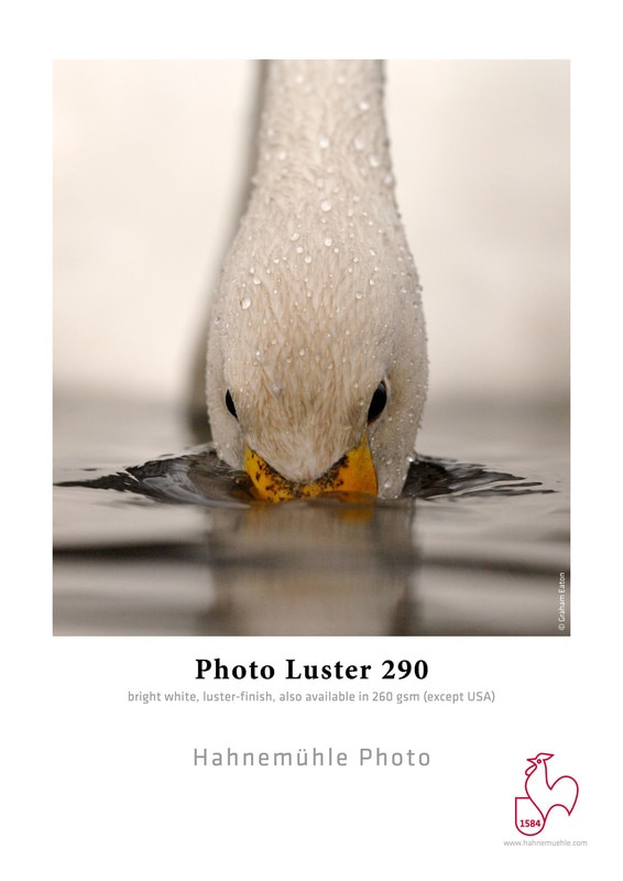 RS86_Photo Luster 290-scr.jpg
